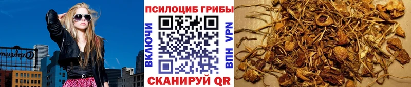 Псилоцибиновые грибы мухоморы  продажа наркотиков  OMG ссылка  Михайловск 
